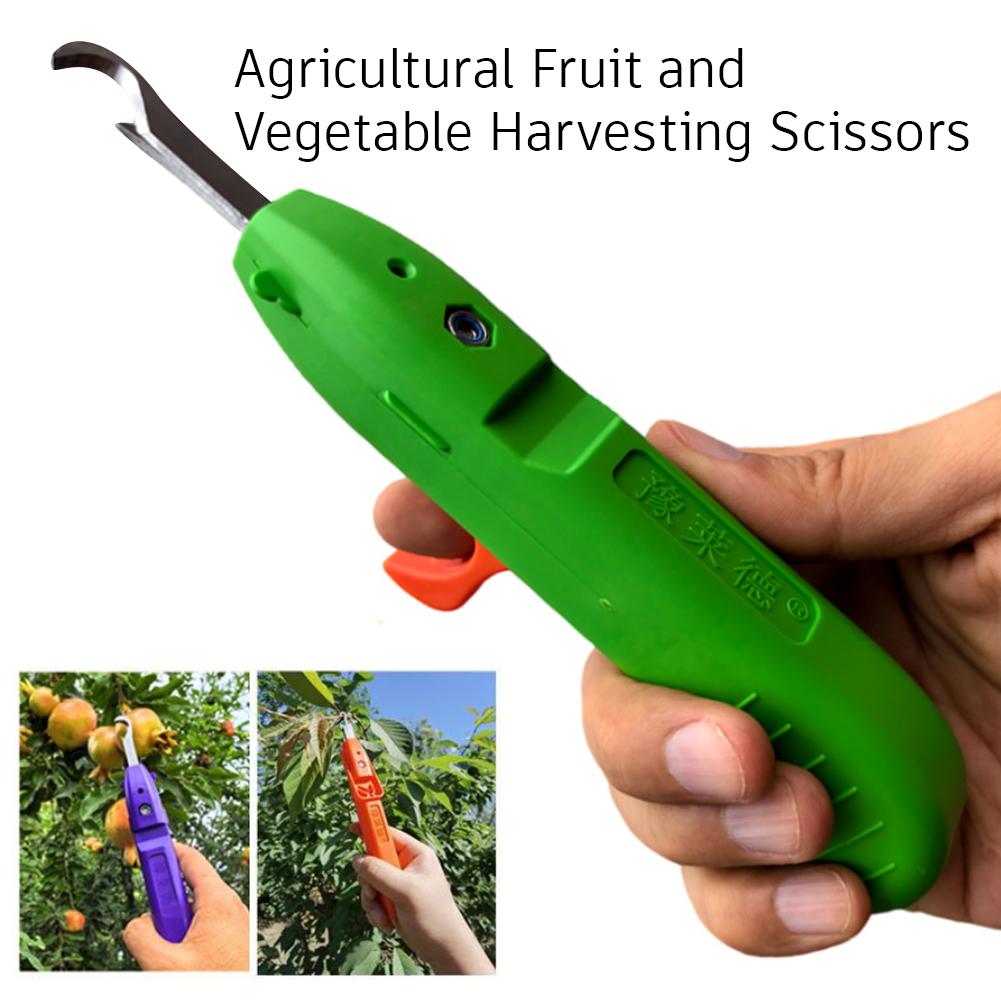 Pruning Shears for Gardening A - огляд і ціна Gardening Tools Scissors