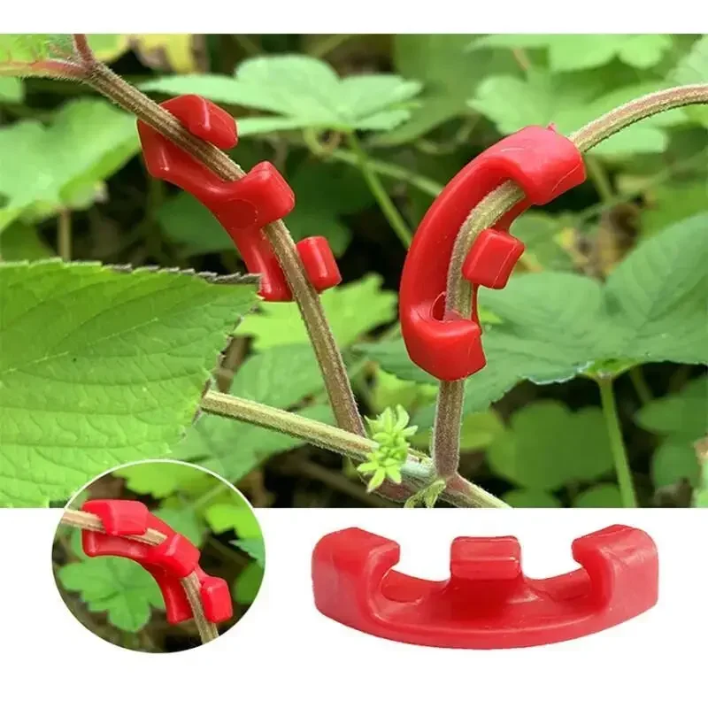 10-100Pcs 90 DegreePlant Train - огляд і ціна Gardening Tools Lowes