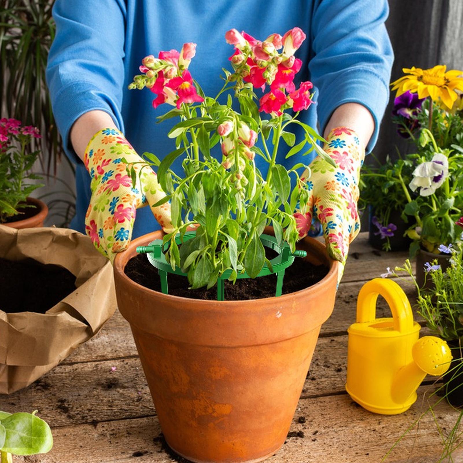 Plant Water Ring Plant Hydro R - огляд і ціна Gardening Tools Target