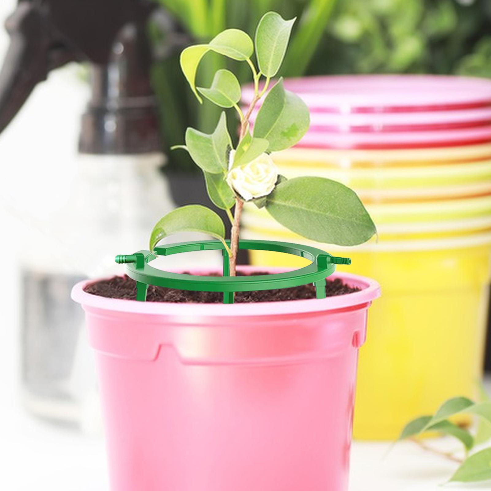 Plant Water Ring Plant Hydro R - огляд і ціна Gardening Tools Target