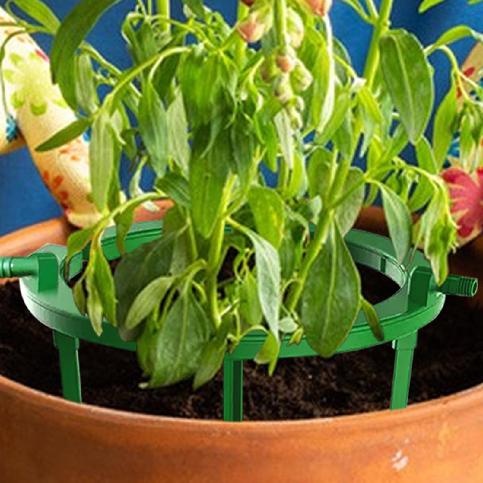 Plant Water Ring Plant Hydro R - огляд і ціна Gardening Tools Target