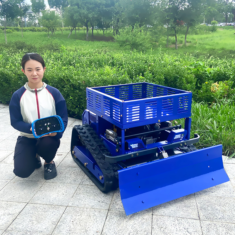 Customized Remote Control Lawn - огляд і ціна Gardening Tools China