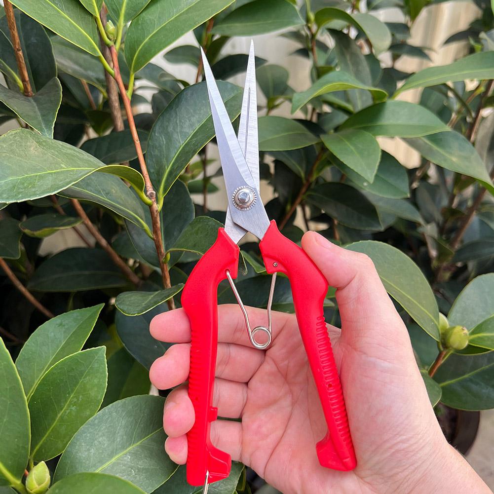 Pro Garden Pruning Shears Leng - огляд і ціна Gardening Tools Scissors