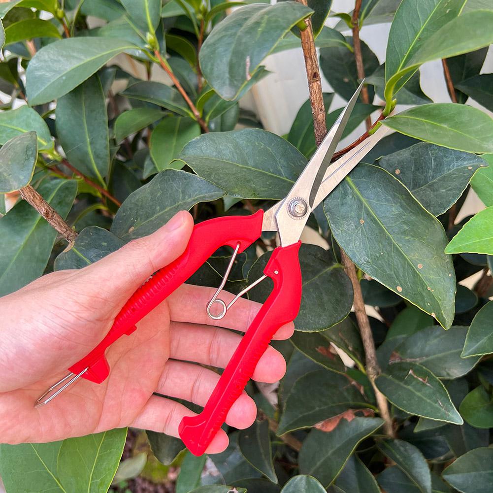 Pro Garden Pruning Shears Leng - огляд і ціна Gardening Tools Scissors