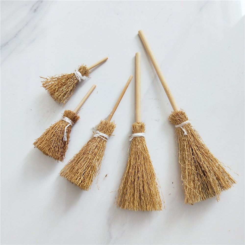 5pcs/Bag New Scene Mini Broom  - огляд і ціна Gardening Tools Usa